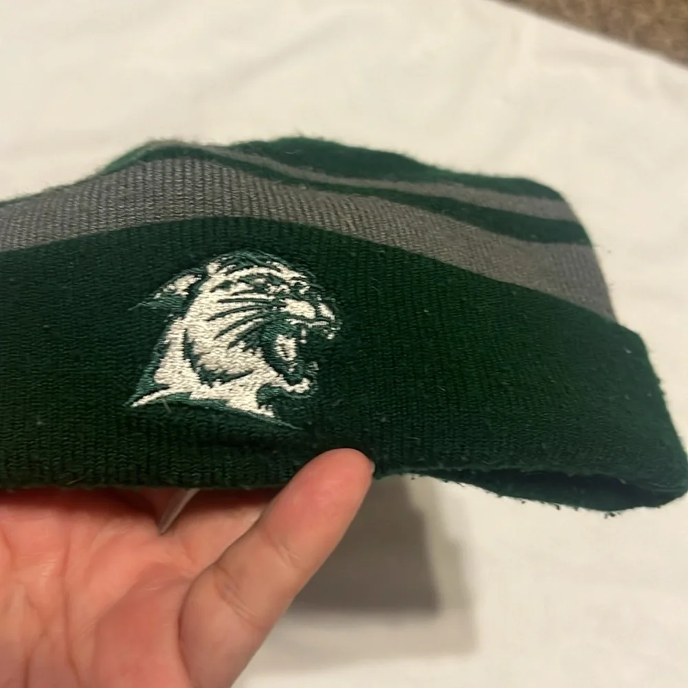 Under Armour northern Michigan wildcat gray/green winter hat
